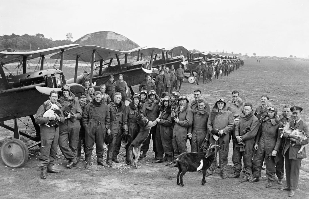 Members of the Royal Flying Corps pose with their planes and dogs and a goat